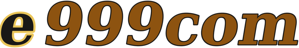 e999com logo